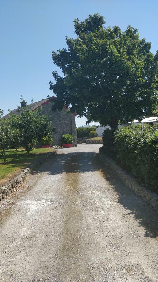 Vila Tig Rua Killarney Exteriér fotografie